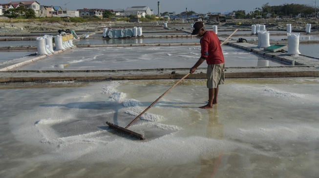 Impor Garam Ditargetkan Setop 2029, Produksi Nasional Digenjot