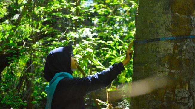 Air Tidak Bisa Dicetak Ulang, Hutan Jangan Dihabiskan demi Uang