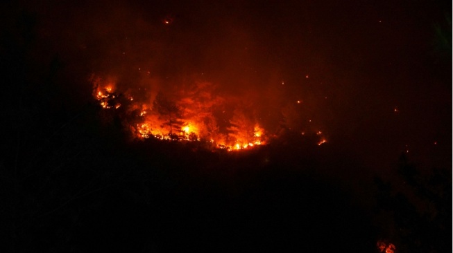 Mengenal Fakfak, Surga Pala di Papua Barat yang Kini Dikepung Api