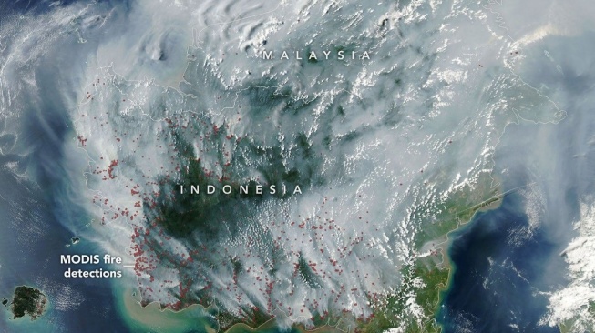 Satelit NASA ungkap kondisi karhutla Kalimantan. (NASA)