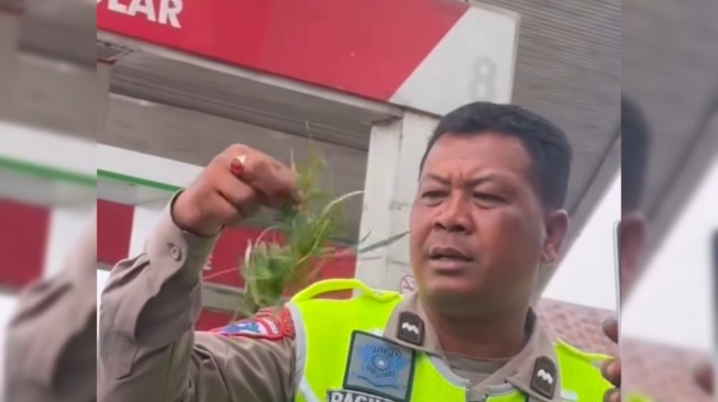 Berawal Kecelakaan Motor, Polisi Temukan Kebun Ganja 4,5 Kg di Karo