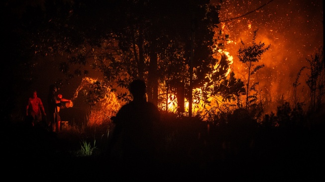 Warga berupaya memadamkan api yang membakar hutan dan lahan di Kecamatan Sebangau, Kota Palangka Raya, Kalimantan Tengah, Rabu (9/9/2026). [ANTARA FOTO/Bayu Pratama S/nym]