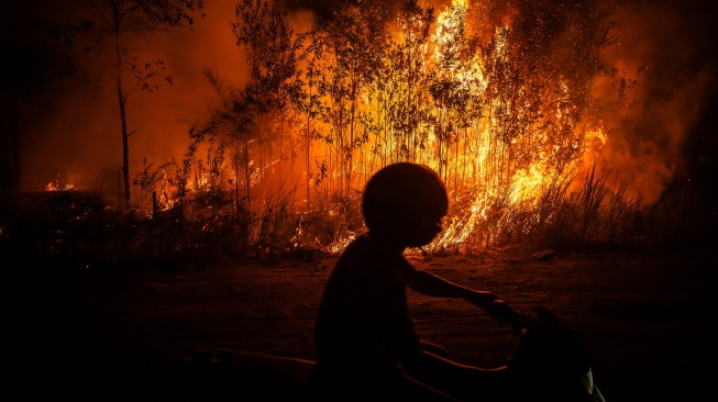 Media Asing Sorot Kebakaran Hutan Indonesia Sumbang Emisi Tertinggi Dunia