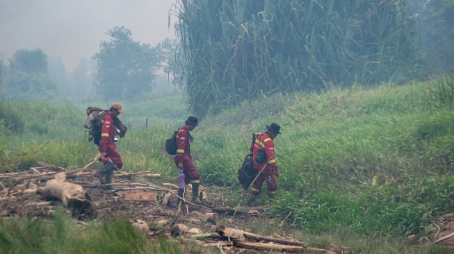 Personel Manggala Agni Daops Sumatera IX-Jambi berjalan menuju lokasi pemadaman kebakaran hutan di kawasan Suaka Margasatwa (SM) Padang Sugihan, Kecamatan Air Sugihan, Kabupaten Ogan Komering Ilir (OKI), Sumatera Selatan, Kamis (10/9/2026). [ANTARA FOTO/Nova Wahyudi/tom]