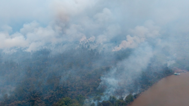 Karhutla Bakar 2.300 Hektare Suaka Margasatwa Padang Sugihan