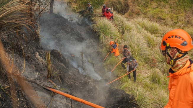 Petugas gabungan melakukan pemadaman kebakaran hutan dan lahan di kawasan Taman Nasional Bromo Tengger Semeru (TNBTS), Kabupaten Probolinggo, Jawa Timur, Jumat (11/9/2026). [ANTARA FOTO/Irfan Sumanjaya/wsj]