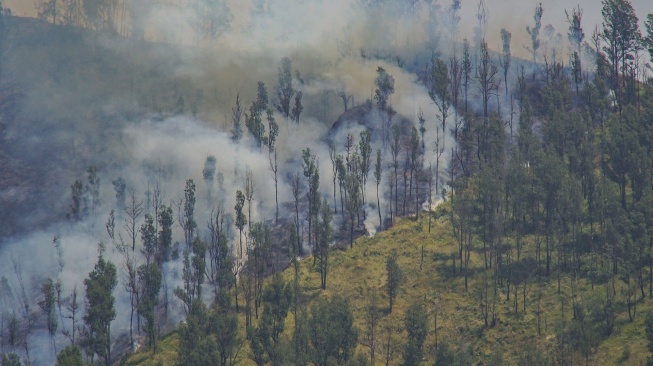 Asap membubung ke udara di lokasi kebakaran hutan dan lahan di kawasan Bukit Pengol Taman Nasional Bromo Tengger Semeru (TNBTS), Kabupaten Probolinggo, Jawa Timur, Jumat (11/9/2026). [ANTARA FOTO/Irfan Sumanjaya/wsj]