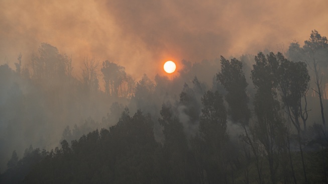 Asap membubung ke udara di lokasi kebakaran hutan dan lahan di kawasan Bukit Pengol Taman Nasional Bromo Tengger Semeru (TNBTS), Kabupaten Probolinggo, Jawa Timur, Jumat (11/9/2026). [ANTARA FOTO/Irfan Sumanjaya/wsj]