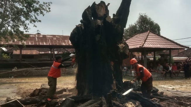 Pura Desa Adat di Buleleng Terbakar, Beringin Berusia Ratusan Tahun Ikut Hangus