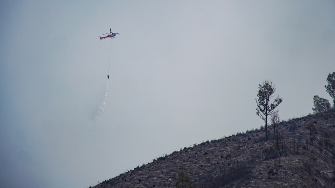 Helikopter BPBD Provinsi Jatim menumpahkan air untuk pemadaman kebakaran hutan dan lahan di kawasan Taman Nasional Bromo Tengger Semeru (TNBTS), Kabupaten Probolinggo, Jawa Timur, Jumat (11/9/2026). [ANTARA FOTO/Irfan Sumanjaya/wsj]