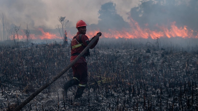 294 Karhutla Terjadi di Ogan Ilir hingga September 2026