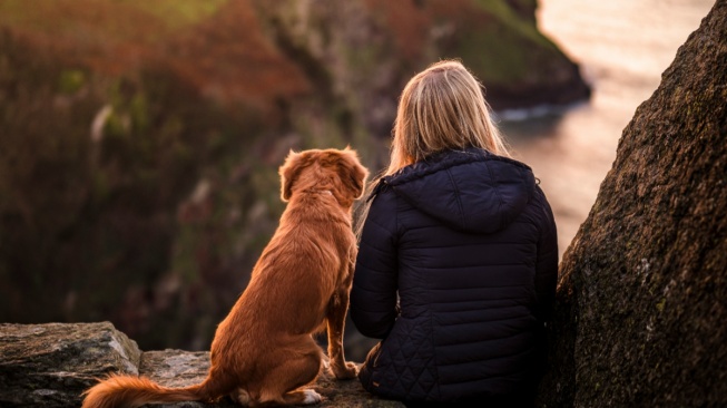 3 Shio yang Paling Tidak Cocok dengan Shio Anjing dalam Bisnis dan Asmara