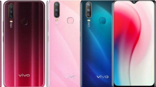 Vivo Y17 pink.