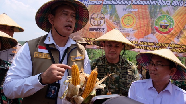 Program SPHP, Bulog Siap Salurkan 150 Ribu Ton SPHP Jagung hingga Akhir 2026