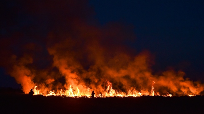 Pewarta merekam gambar saat kebakaran lahan terjadi di Tanjung Pauh Hilir, Kerinci, Jambi, Selasa (15/9/2026). [ANTARA FOTO/Wahdi Septiawan/tom]