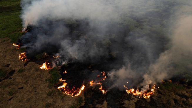 Foto udara asap membumbung di lahan yang terbakar di Tanjung Pauh Hilir, Kerinci, Jambi, Selasa (15/9/2026). [ANTARA FOTO/Wahdi Septiawan/tom]