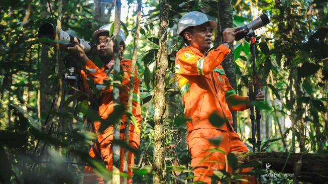 Cakupan Konservasi Halmahera Diperluas, Pemantauan Biodiversitas Kini Sentuh 40 Titik