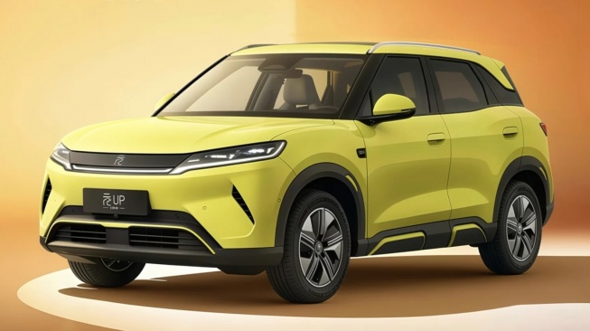 BYD Atto 2. (Car News China)