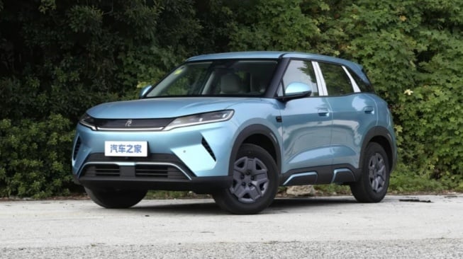BYD Atto 2. (Car News China)
