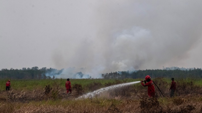 Personel Manggala Agni melakukan pendinginan kebakaran hutan di Pusat Konservasi Gajah (PKG) Jalur 21 Padang Sugihan, Kabupaten Banyuasin, Sumatera Selatan, Kamis (17/9/2026). [ANTARA FOTO/Nova Wahyudi/kye] 