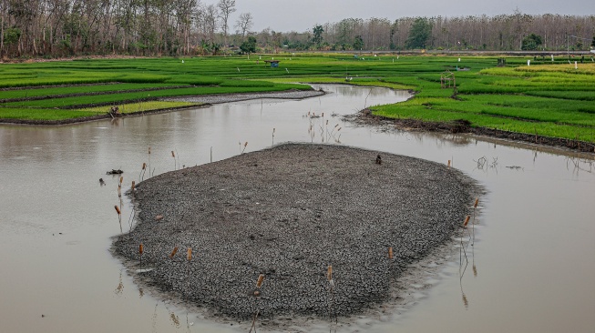 Kondisi Waduk Saradan yang mulai menyusut di Madiun, Jawa Timur, Sabtu (19/9/2026). [ANTARA FOTO/Muhammad Mada/YU]