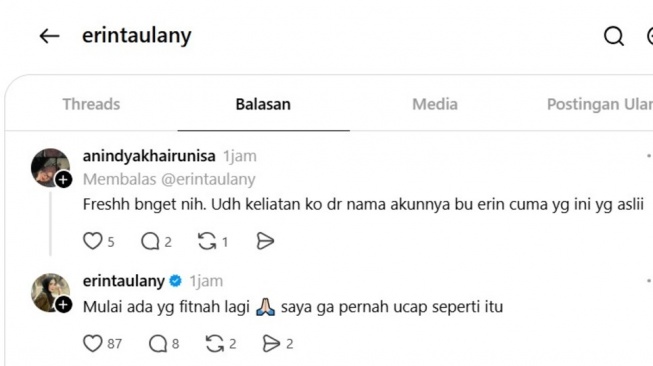 Postingan Erin Taulany [Istimewa]