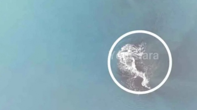 Kemunculan Cucu Krakatau Seluas 30,3 Hektare Bikin Heboh Media Asing: Gunung Api Baru?