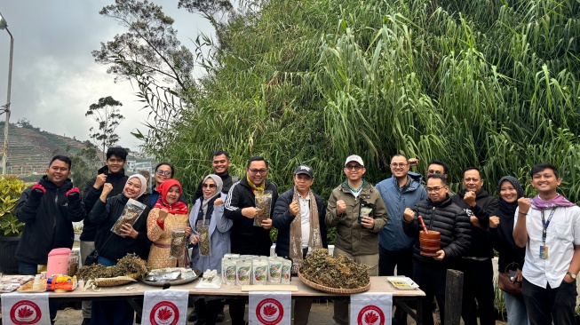 Kunjungan ke pusat pembibitan tanaman herbal purwaceng, Desa Sembungan, tampak Ketua MPIG Purwaceng Dieng, Uswatun Hasanah (penutup kepala warna merah). (Suara.com/CNR ukirsari)