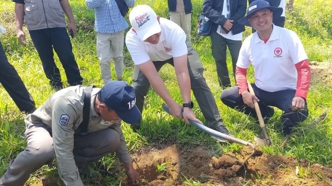 Fajar Sulaeman Taman, Direktur Merek dan Indikasi Geografis di Direktorat Jenderal Kekayaan Intelektual (DJKI) Kementerian Hukum (paling kanan), Arie Ardian Rishadi, Direktur Direktorat Penegakan Hukum DJKI (tengah), serta Turno, Ketua MPIG kopi Arabica Dieng (paling kiri) dalam seremoni menanam kopi di Dieng. (Suara.com/CNR ukirsari)