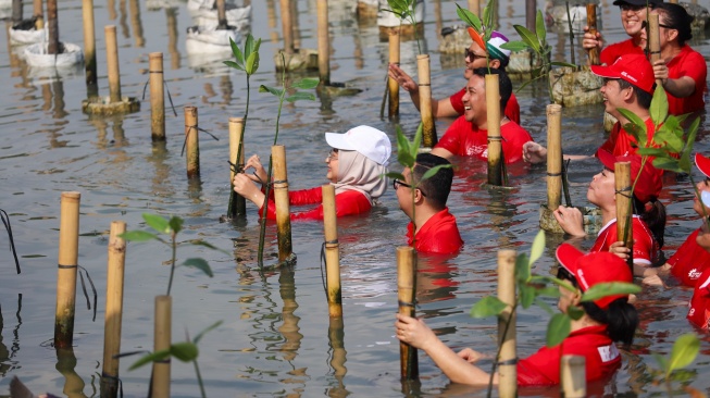 Suasana penanaman pohon mangrove dalam acara PLAN & PLANT, 1 Polis = 1 Mangrove di Taman Wisata Alam Angke, Kamis (24/9/2026).  [handout]
