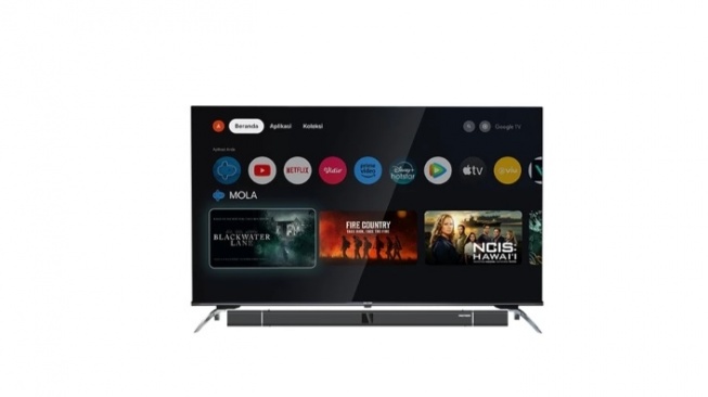 POLYTRON 4K UHD Smart Google TV 55 Inch PLD 55BUG5058