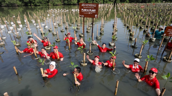 Suasana penanaman pohon mangrove dalam acara PLAN & PLANT, 1 Polis = 1 Mangrove di Taman Wisata Alam Angke, Kamis (24/9/2026).  [handout]
