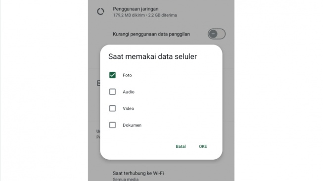 Fitur WhatsApp - 3 Kamu juga dapat mengatur unduh otomatis. [Suara.com]
