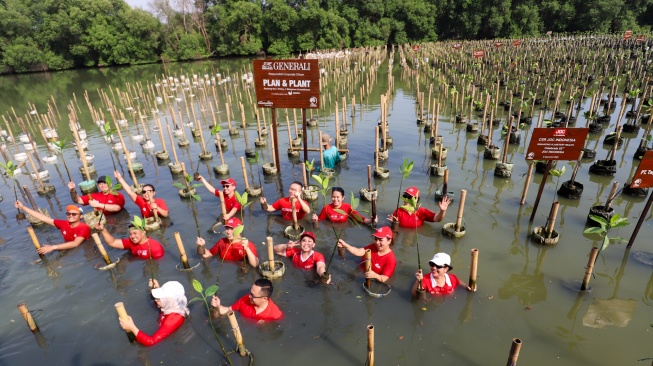 Suasana penanaman pohon mangrove dalam acara PLAN & PLANT, 1 Polis = 1 Mangrove di Taman Wisata Alam Angke, Kamis (24/9/2026).  [handout]
