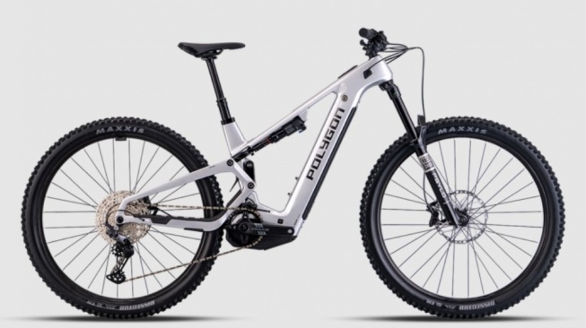 E-MTB Polygon Collosus TE