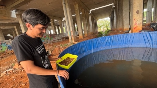 Bukan Sekadar Disuruh Pilah, Bagaimana Kolong Boys Ajak Warga Tukar Sampah Dapur dengan Lele?