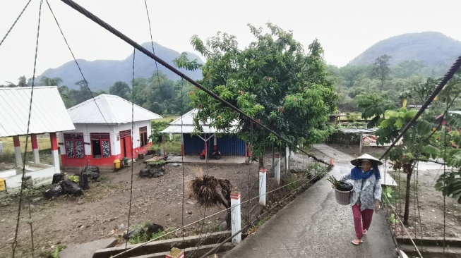 Di kaki Bukit Besak, hutan dan kebun bertemu dalam satu lanskap.[dok HaKI]