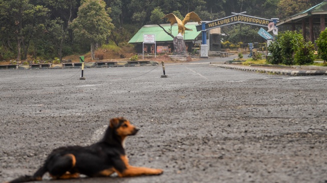 Kondisi area parkir yang lengang di Taman Wisata Alam Gunung Papandayan di Cisurupan, Kabupaten Garut, Jawa Barat, Minggu (27/9/2026). [ANTARA FOTO/Raisan Al Farisi/sgd]
