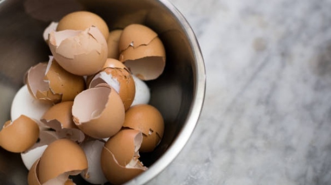 Tak Sekadar Limbah Dapur, Cangkang Telur Ternayta Bisa Diolah Jadi Pupuk: Bagaimana Caranya?