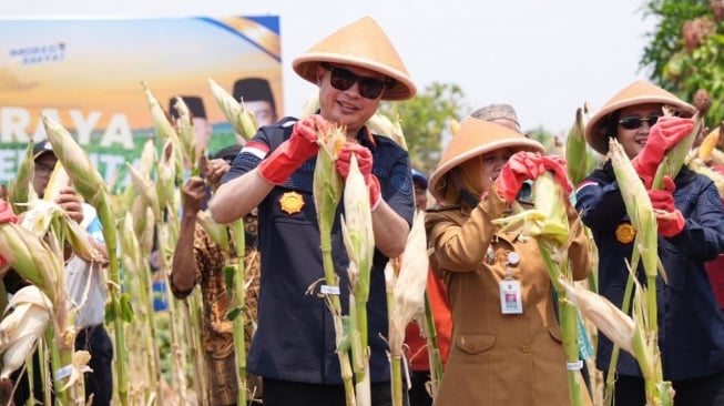 Panen Raya Jagung di Tahunan, Bulurejo, Kapanewon Semin, Gunungkidul pada Selasa (29/9/2026). (Ist)