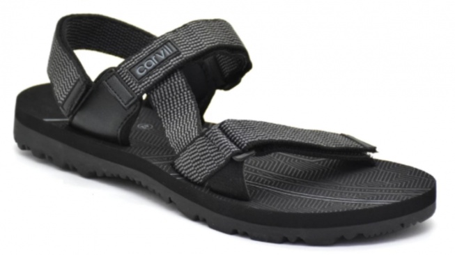 Carvil Chester-GM. [Shopee/Carvil]