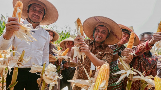 Produksi Jagung Jateng Sudah Capai 2,68 juta ton, Kukuhkan Sebagai Lumbung Pangan Nasional
