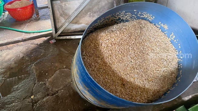 Harga kedelai impor yang menjadi bahan baku utama tempe terus naik. Foto Esther Nadya-Suara.com