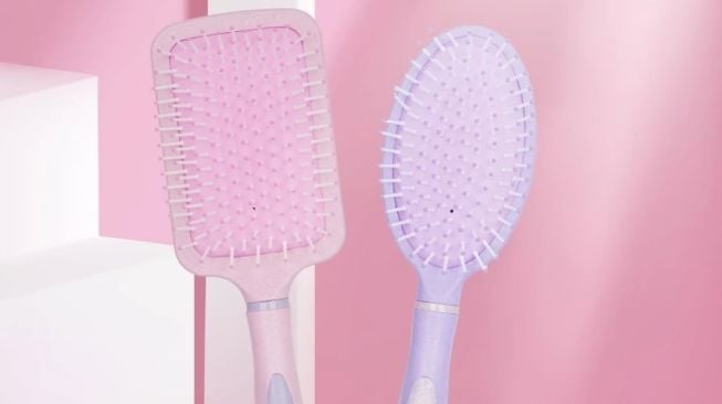 MiLittle Things Paddle Brush (Shopee)
