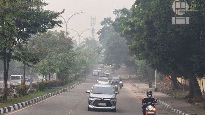 Asap Karhutla Berisiko Bikin Gagal Napas, Anak-anak dan Lansia Paling Rentan
