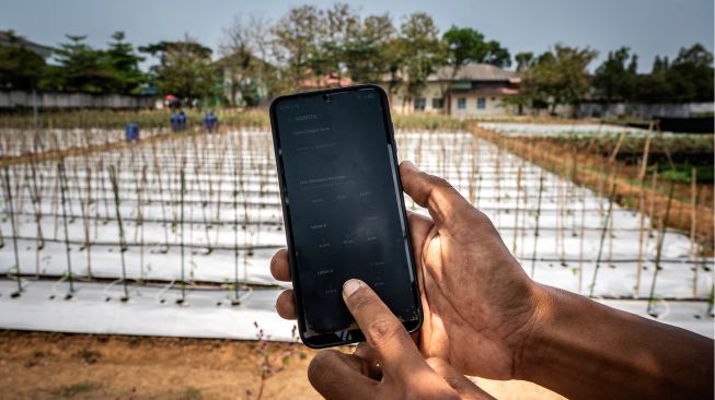 Petani mengoperasikan alat penyiram tanaman otomatis melalui gawai dengan teknologi Internet of Things (IoT) dalam sistem pertanian cerdas (smart farming) di Demplot Manajemen Pangan (DMP) Tambangan, Mijen, Semarang, Jawa Tengah, Kamis (8/10/2026). [ANTARA FOTO/Aprillio Akbar/YU]
