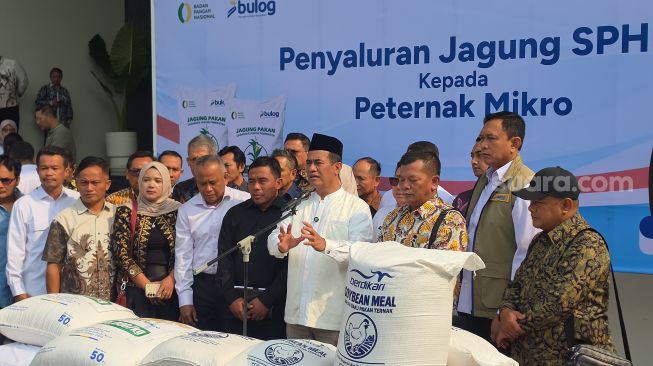 Harga Pakan Meroket Bikin Peternak Tekor, Mentan Minta Bulog Salurkan 250 Ribu Ton Jagung