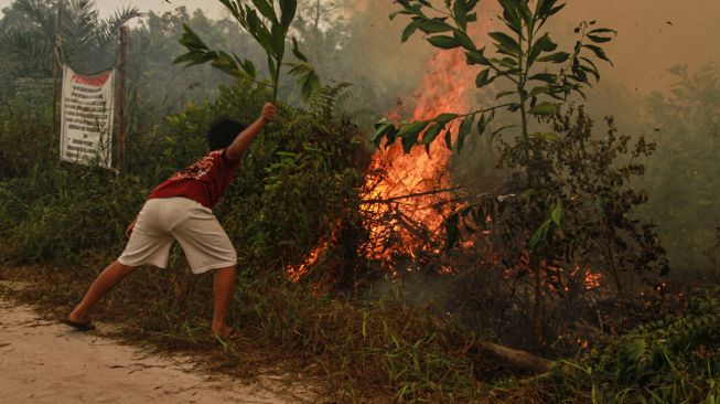 Seorang warga berupaya memadamkan kebakaran lahan yang mendekati kawasan permukiman di Kecamatan Jekan Raya, Palangka Raya, Kalimantan Tengah, Jumat (9/10/2026). [ANTARA FOTO/Auliya Rahman/wsj]