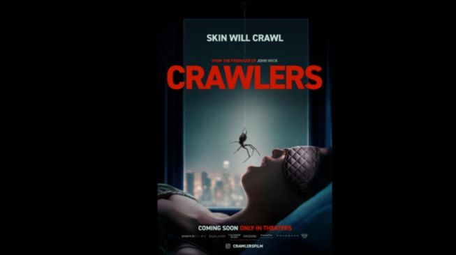 Review Film Crawlers: Aksi Matilda Lutz Melawan Invasi Ribuan Laba-Laba!