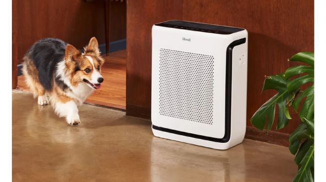 MISS LIFE Purru Air Turbo Air Purifier (dekoruma)
